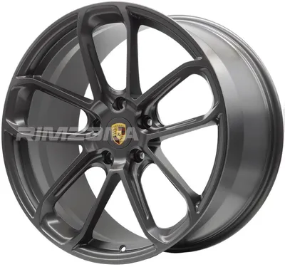 Кованый диск В стиле Porsche GT DESIGN PLATINUM R21 9.5J 5x130 ET46 dia 71.6